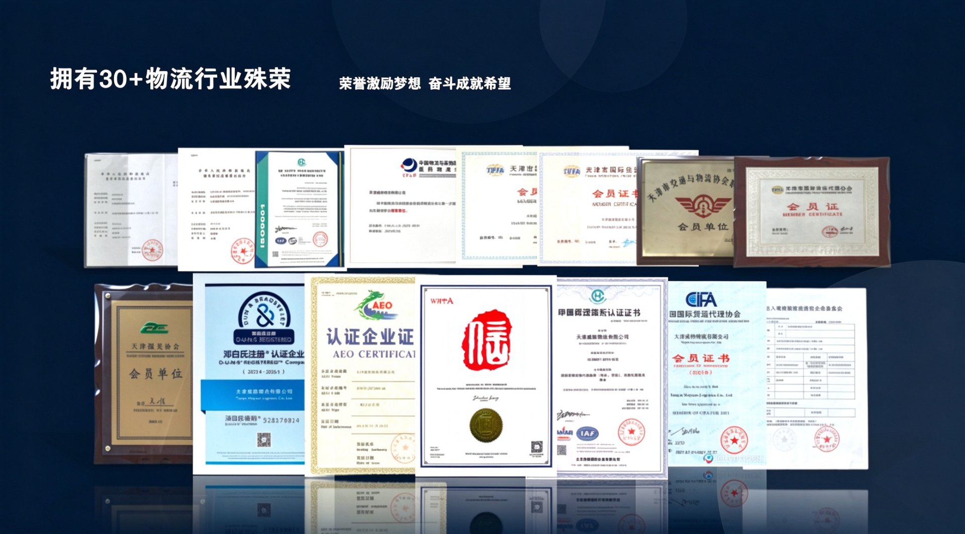 NVOCC & WCA 资质 - 天津泽阳国际物流有限公司