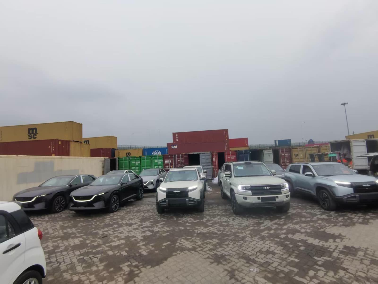 Rows of new cars and SUVs staged at a Chinese export container yard